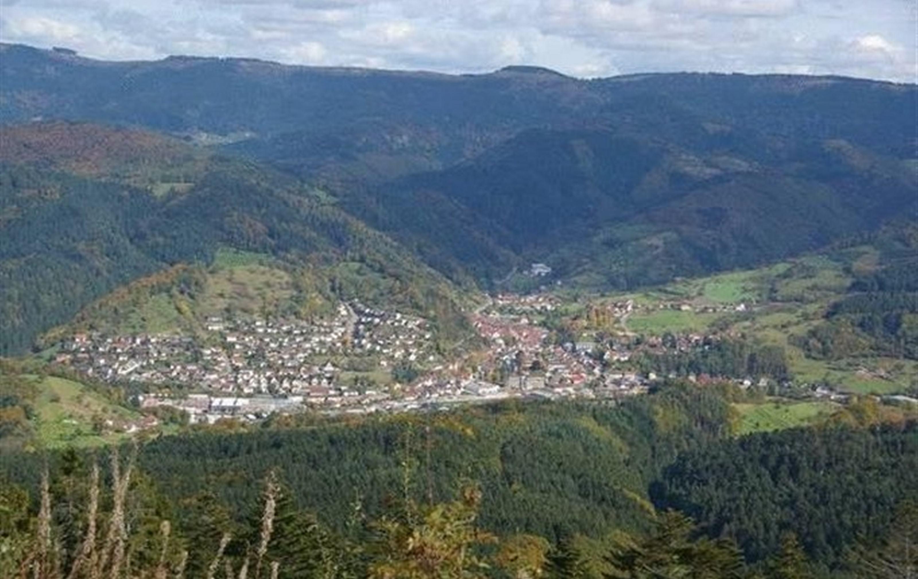 Gasthaus Finken Oppenau Kültér fotó