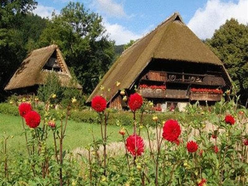Gasthaus Finken Oppenau Kültér fotó