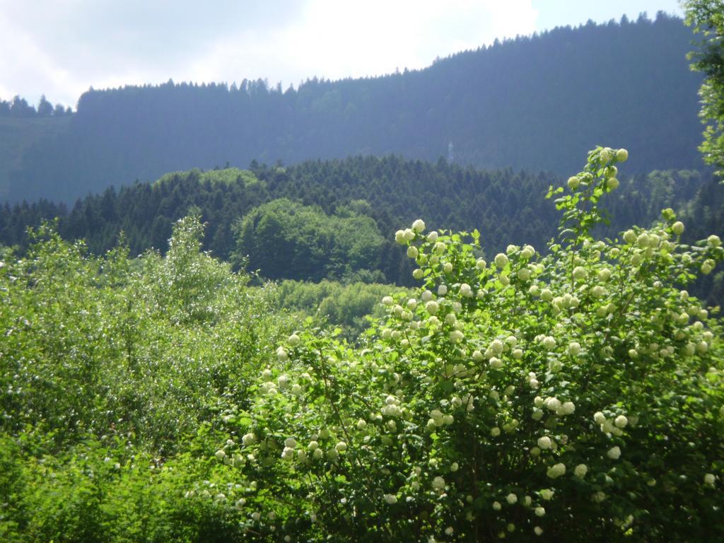 Gasthaus Finken Oppenau Kültér fotó